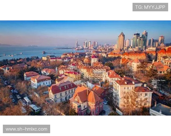 哈德森的魅力探秘：探索这座城市的历史文化与现代风貌