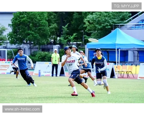 飞盘竞技的魅力：深入分析杭州飞盘队员的个人技能与团队协作