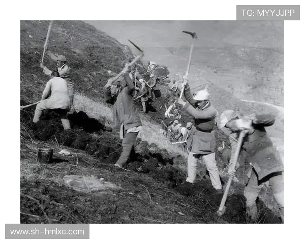 北京篮球队阵地战分析：优劣势与战术调整的深度探讨